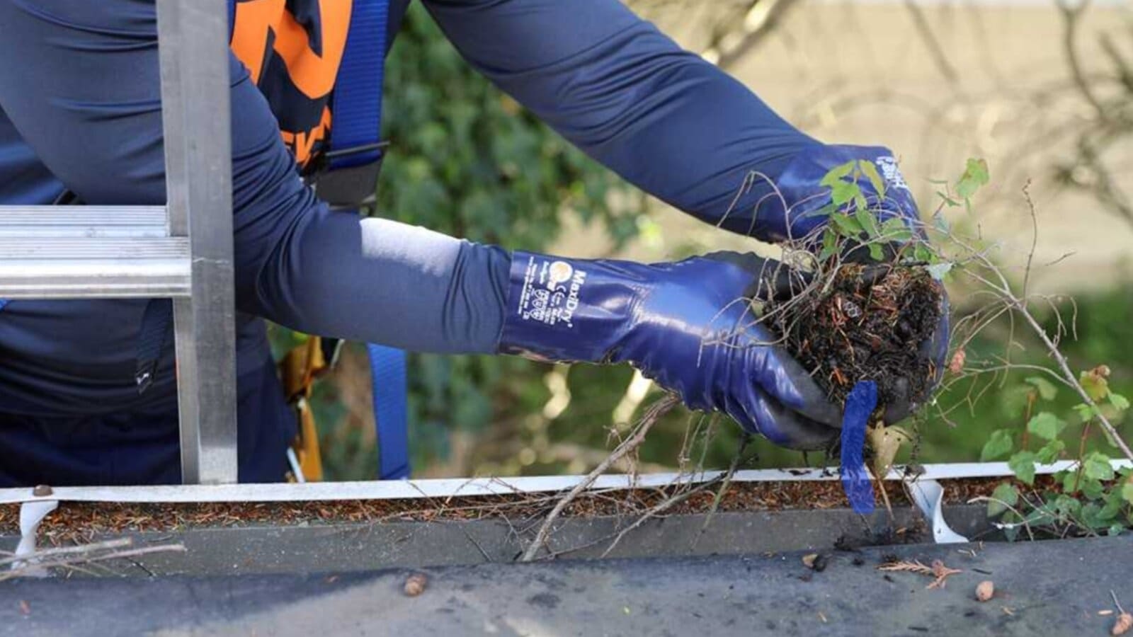 Gutter Cleaning in South Jersey from $99